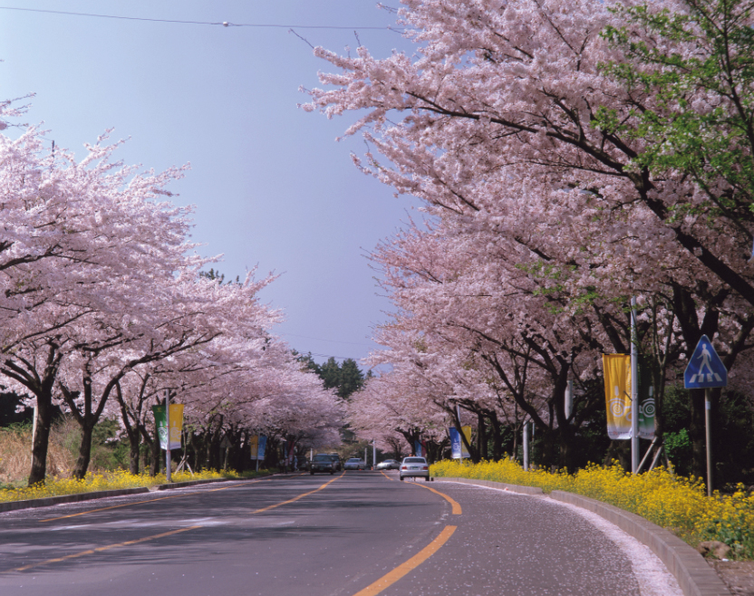 济州大学